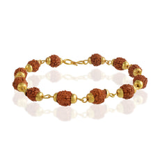 5 Mukhi Rudraksha Bracelet - Gold Plated