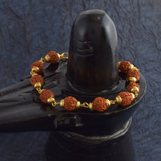 5 Mukhi Rudraksha Bracelet - Gold Plated